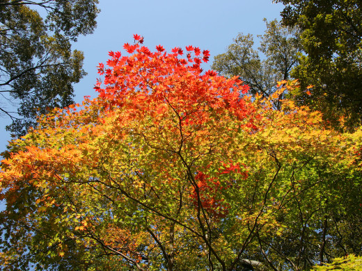 37329 (a): :1600x1200